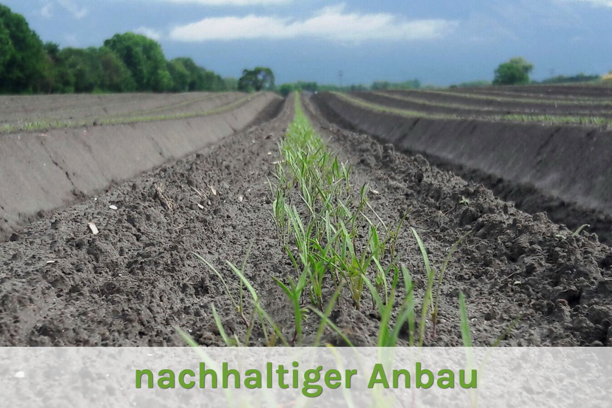 Nachhaltiger Anbau Nachhaltiger Anbau
